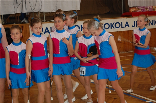 Obrázek v galerii