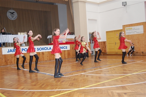 Obrázek v galerii