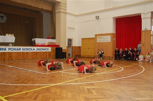 Obrázek v galerii