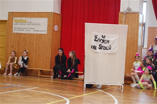 Obrázek v galerii