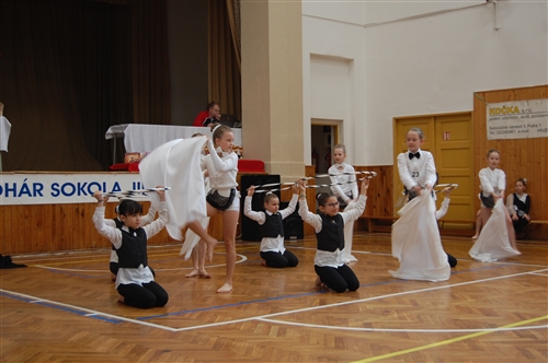 Obrázek v galerii
