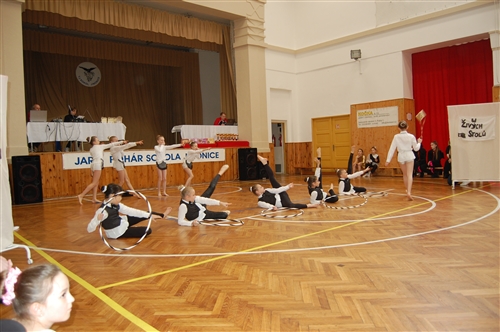 Obrázek v galerii