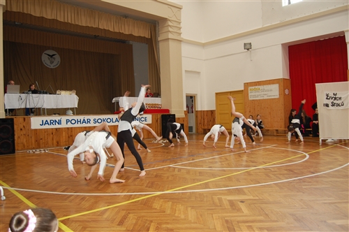 Obrázek v galerii