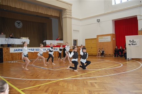 Obrázek v galerii