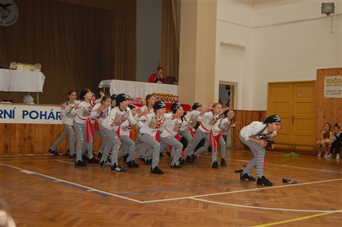 Obrázek v galerii