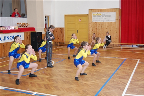 Obrázek v galerii