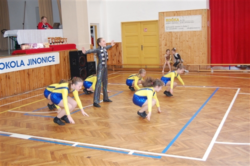 Obrázek v galerii