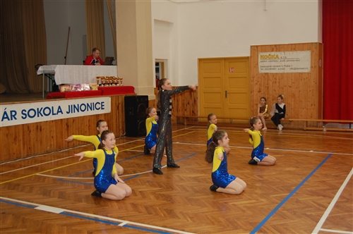 Obrázek v galerii