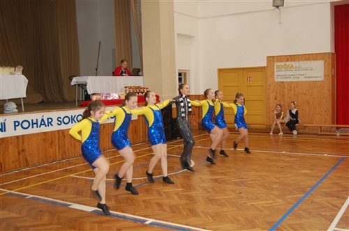 Obrázek v galerii