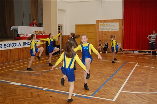 Obrázek v galerii