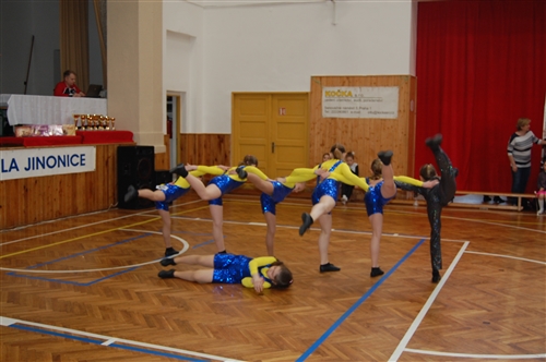 Obrázek v galerii
