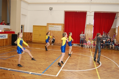 Obrázek v galerii