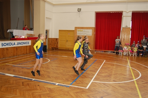 Obrázek v galerii