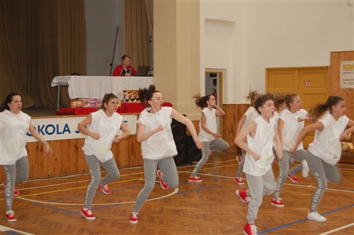 Obrázek v galerii