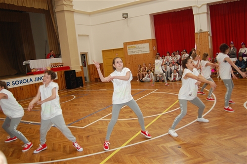 Obrázek v galerii