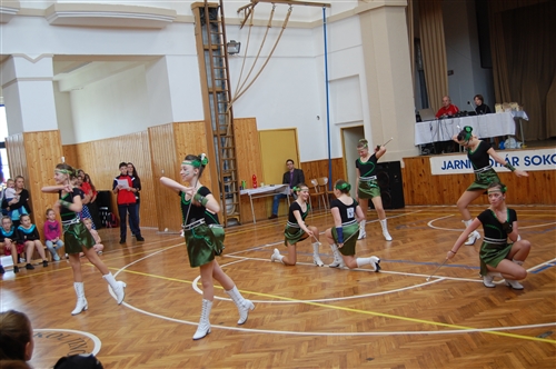 Obrázek v galerii