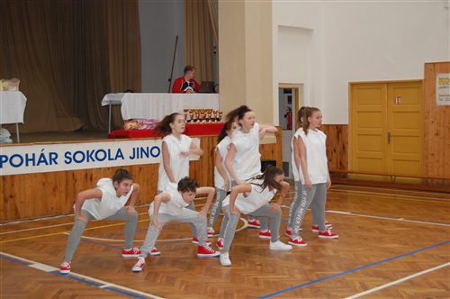 Obrázek v galerii