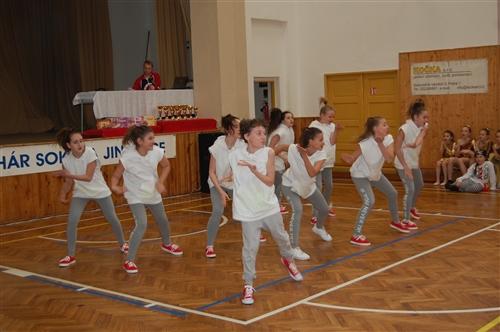 Obrázek v galerii