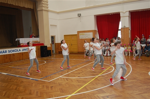 Obrázek v galerii