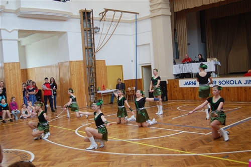 Obrázek v galerii