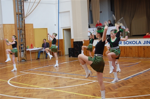 Obrázek v galerii