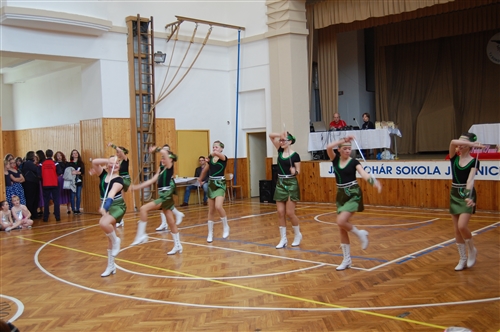 Obrázek v galerii
