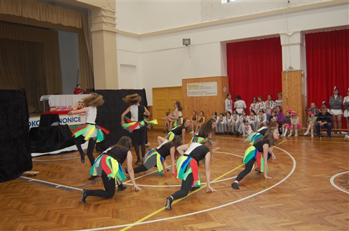 Obrázek v galerii