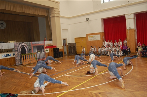 Obrázek v galerii