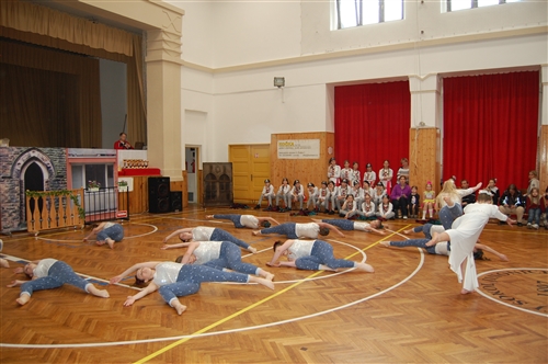 Obrázek v galerii