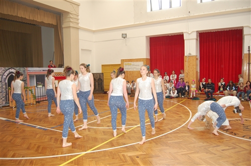 Obrázek v galerii