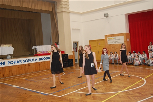 Obrázek v galerii