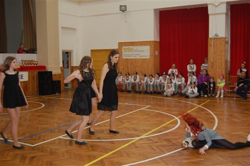 Obrázek v galerii