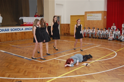 Obrázek v galerii