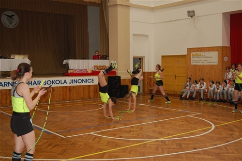 Obrázek v galerii