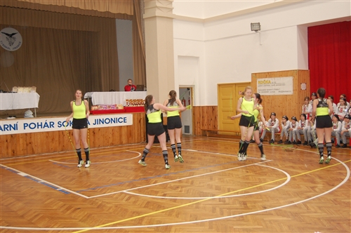 Obrázek v galerii