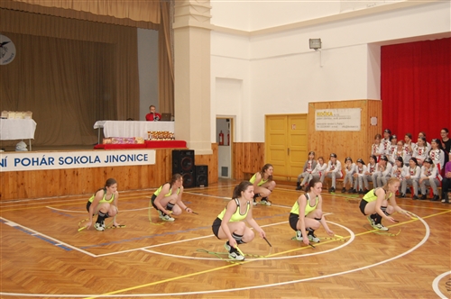 Obrázek v galerii
