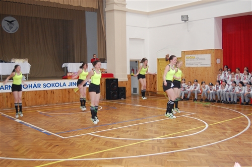 Obrázek v galerii