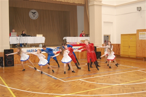 Obrázek v galerii