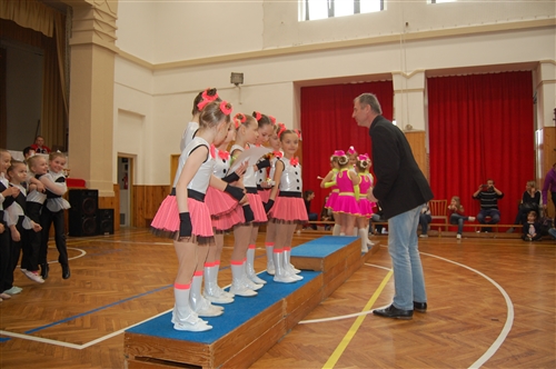 Obrázek v galerii