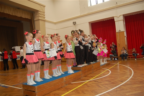 Obrázek v galerii