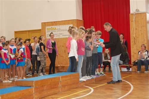 Obrázek v galerii