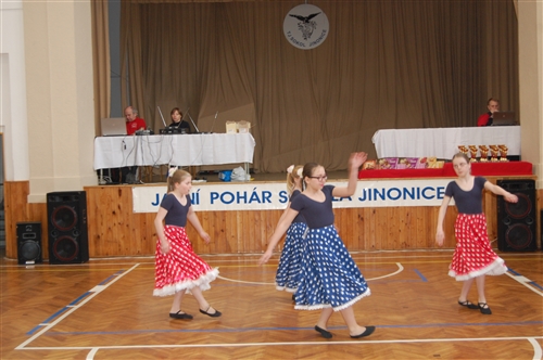 Obrázek v galerii