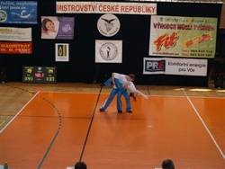 Obrázek v galerii