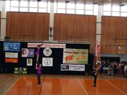 Obrázek v galerii