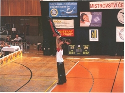 Obrázek v galerii