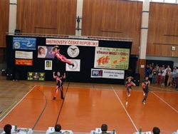Obrázek v galerii