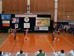 Obrázek v galerii