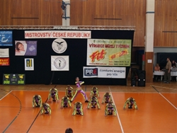 Obrázek v galerii