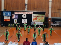 Obrázek v galerii