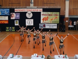 Obrázek v galerii
